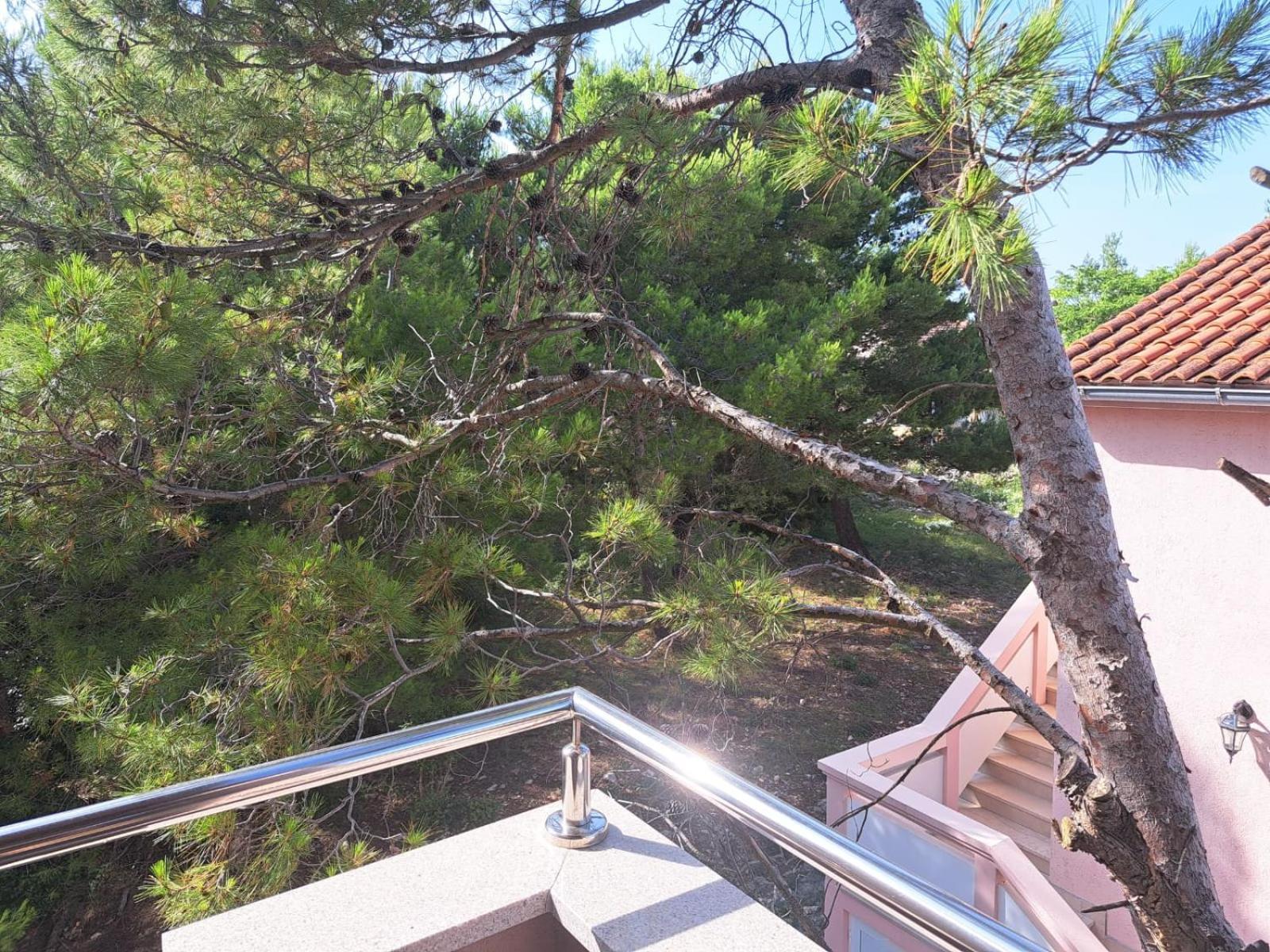 Apartmani Vukadin Vir Extérieur photo